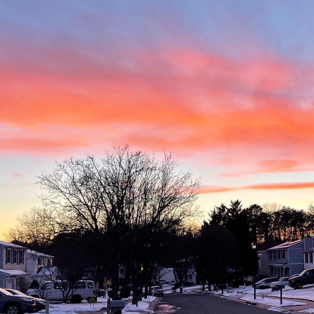 Meet your Posher, Yasemin